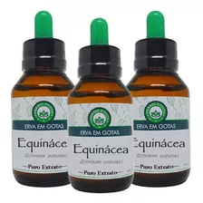 3 Extratos De Equinácea 60ml - Tintura Mãe - Imunidade 