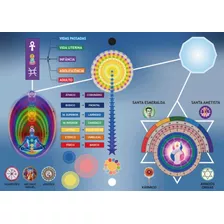 Consulta Radiestesia Mesa Radiônica De Apometria Online 