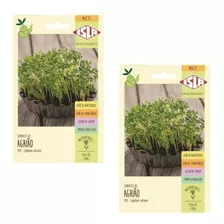 2x Sementes Agrião Micro Verde Microgreen