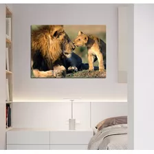 Vinilo Decorativo 60x90cm Leon Animal Naturaleza Kiss Beso