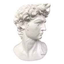 Busto Grego David De Michelangelo 29cm Estátua Sem Base