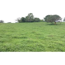 Rancho En Venta En Tamiahua, Veracruz