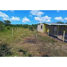 Lote, Vía La Pedrera Yopal Casanare 