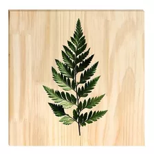 Quadro De Pinus Decorativo Folha 30x30