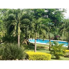 Venta Finca/rancho 10 Chiconcuac Morelos/la Leona