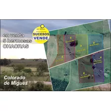 Venta De Hermosas Chacras: Barrio De Chacras El Colorado De Migues Ruta 88 A 10 Km. De Tapia Y 5 De Migues.