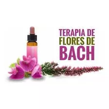 Terapia Profesional Flores De Bach