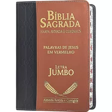 Bíblia Sagrada Letra Grande Jumbo Com Harpa E Corinhos