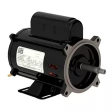 Motor Weg Para Piscina 3/4cv 127/220v - Igui Jacuzzi Dancor