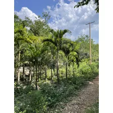 Venta De Finca De 103 Hectáreas A 24 Km De Mérida 