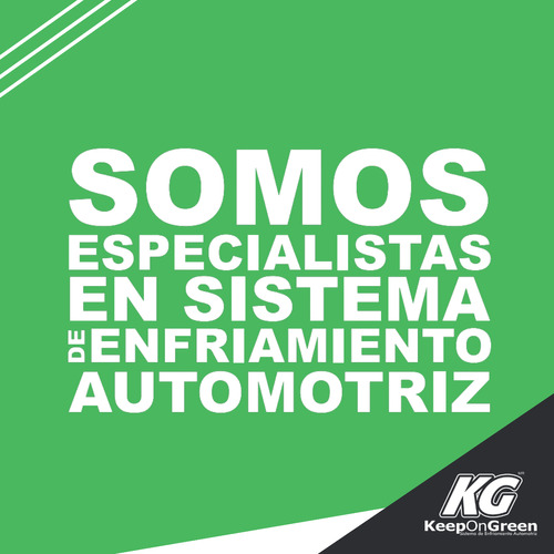 Polea Accesorios Bmw 320i L6 2.2 2001 2002 2003 2004 2005 Foto 7