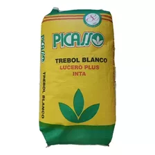 Trébol Blanco Decorativo Ideal Jardín Rinde 70 Mtrs2 X Kg