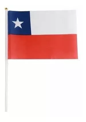 12 Banderas Chilena Pequeñas 28x20cm  (fiestas Patrias) 