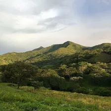  Rancho En Produccion En Carretera Tonala-pijijiapan