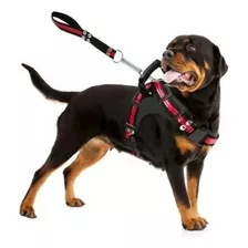 Guia Para Cães Coleira Peitoral Com Alça Reforçado Pit Bull Cor Preto Com Vermelho Tamanho Da Coleira M