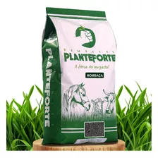 Sementes Plante Forte Forrageira Tradicionais 10kg Mombaça Incrustada