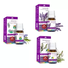 Oleos Essenciais Alecrim Melaleuca Lavanda 10ml Wnf Puros