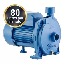 Bomba Agua Centrifuga Elevadora Motorarg Bc40 0.4 Hp