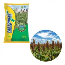 Sementes De Sorgo Forrageiro Brs Ponta Negra Saco 10 Kg