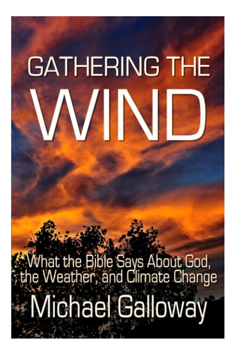 Libro: Gathering The Wind: What The Bible Says About God,