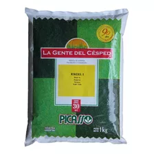 Semillas Cesped Ryegras Perenne Premium Excel I 1kg Picasso