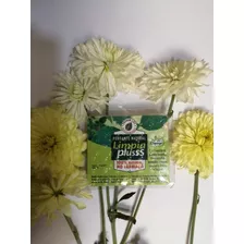 Purgante Natural Limpia Plus 100% Bogotax4