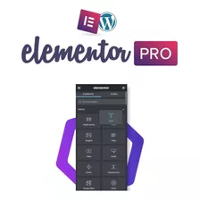 Elementor Pro ( Entrega E Ativação Imediata ) 