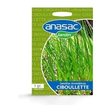 Semilla De Ciboulette 1gr Anasac 