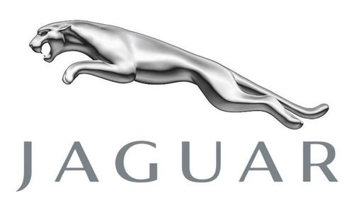 Par De Porta Placas Premium Jaguar Foto 2