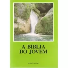 Livro A Bíblia Do Jovem - Verbo Divino [1989]