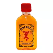 Pack X 10 Mini Fireball 50 Ml