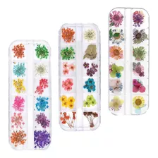 Decoracion Uñas Esculpidas Flores Secas Strass Tip Nail Art