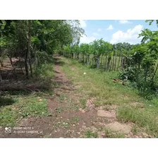 Vendo Esta Finca De 17 Tareas En Monte Plata