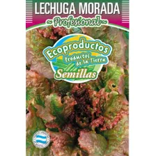 Semillas Huerta Ecoproductos Lechuga Morada