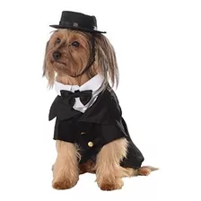 Traje Del Perro Casero Dapper Rubie, Grande.