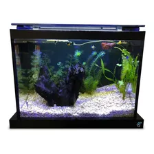 Aquário Quili 24l Blackbox Q-24 + Luminária Decoração Brinde