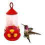 Tercera imagen para búsqueda de bebedero para colibri