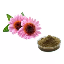 Equinacea (echinacea) En Polvo 500 Gramos - Certificada