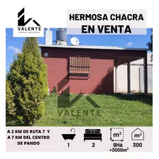 En Venta Chacra De 9 Há Y 3000 M² A 2 Km De Ruta 7 Y A Casi 7km Del Centro De Pando