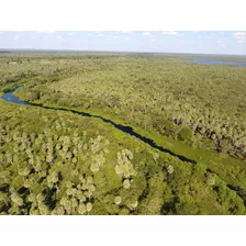 Campo Venta En Formosa Hectareas Agricola Ganadero