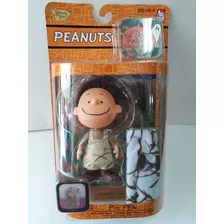 Pig Pen. Peanuts. Serie Charlie Bronwn 2003. Gran Calabaza