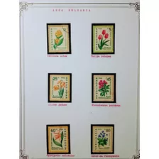Serie De 6 Estampillas De Bulgaria Flores 1960 Sw 1164-69