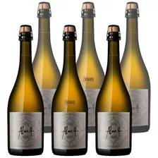 Espumante Alma 4 Zuccardi Chardonnay Caja X6 Unidades