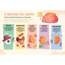 Poster Educativo 5 Sentidos Del Cuerpo A3+ Fotográfico