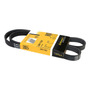 (1) Banda Accesorios Micro-v Insight 3 Cil 1.0l S/aa 00/06