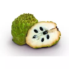 Cherimoia Anonna Graúda Sementes 