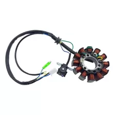 Corona Stator Conjunto De Bobinas Ybr 125 Dx Con Ramal Leo