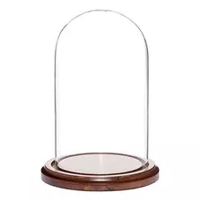 Plymor 4 X 7 Display Pequeño Cristal De La Bóveda Cloche 