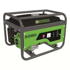 Generador Grupo Electrógeno Forest & Garden 3500w 223cc