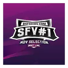 Svf Feminized X7 Semillas Bsf Seeds